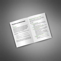 The MVP Playbook - Guide