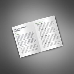 The MVP Playbook - Prompts