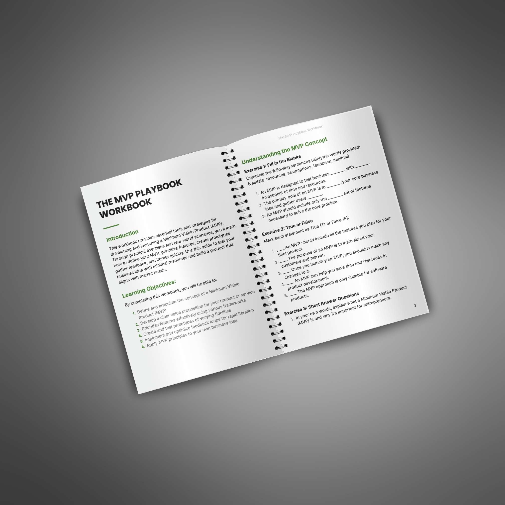 The MVP Playbook - Workbook_2