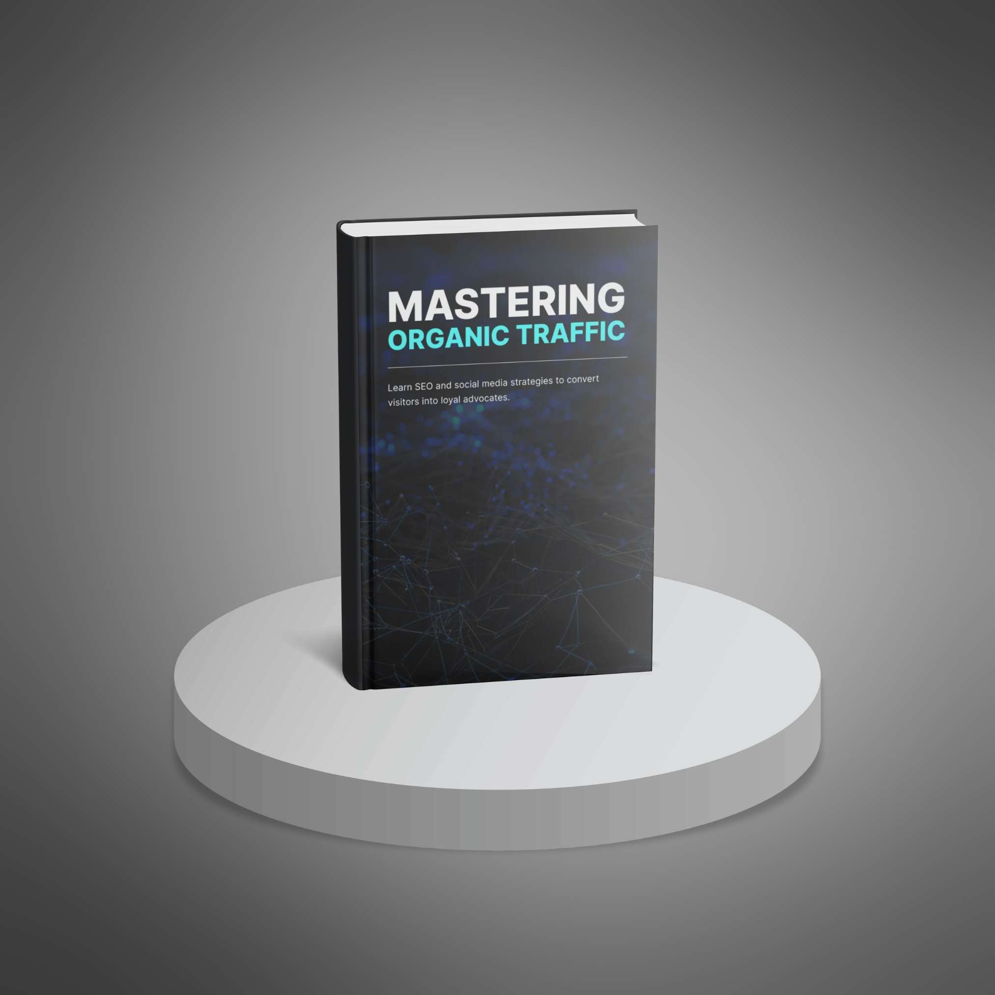 Mastering Organic Traffic_2