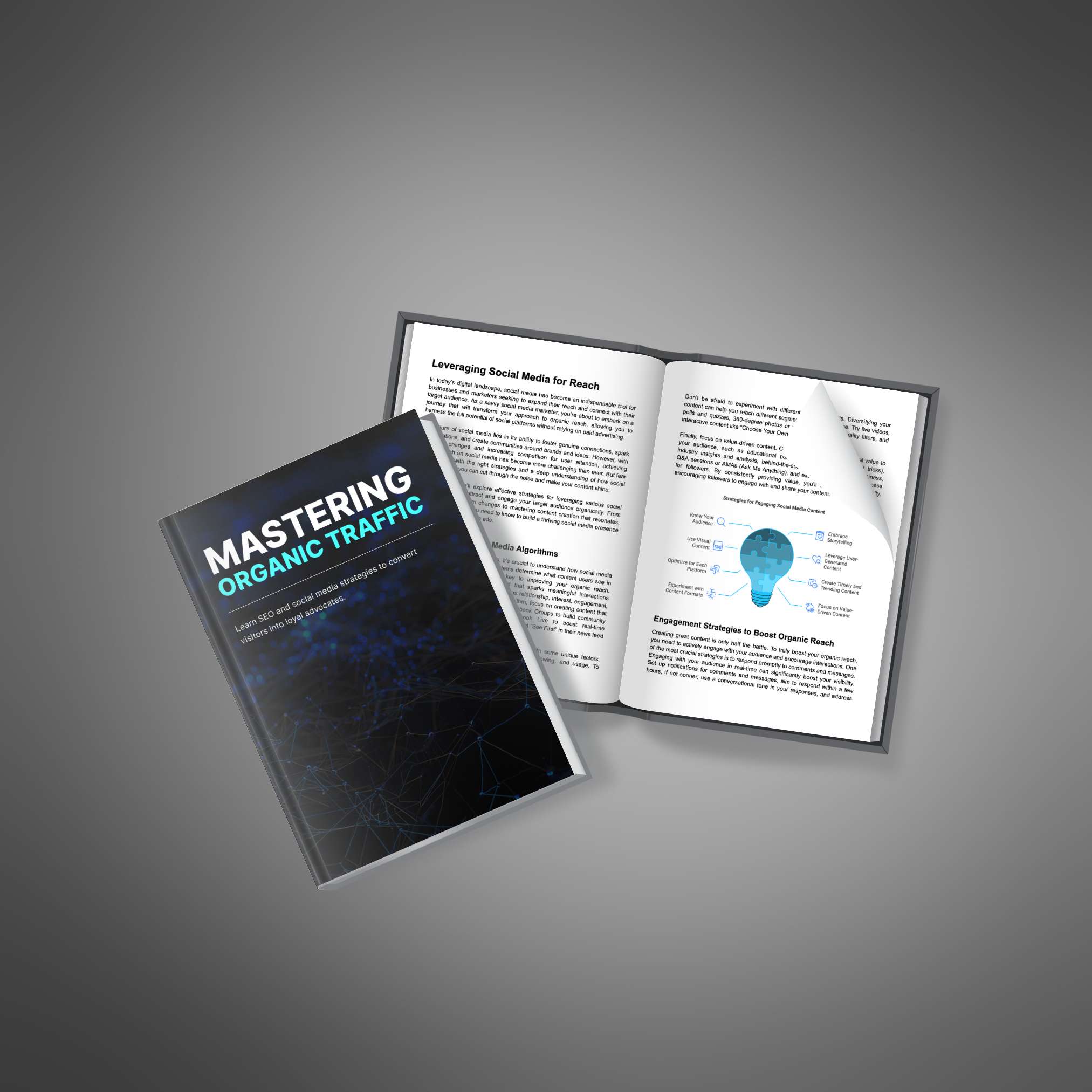 Mastering Organic Traffic_3