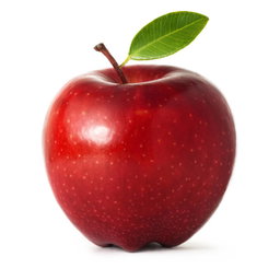 FRUIT