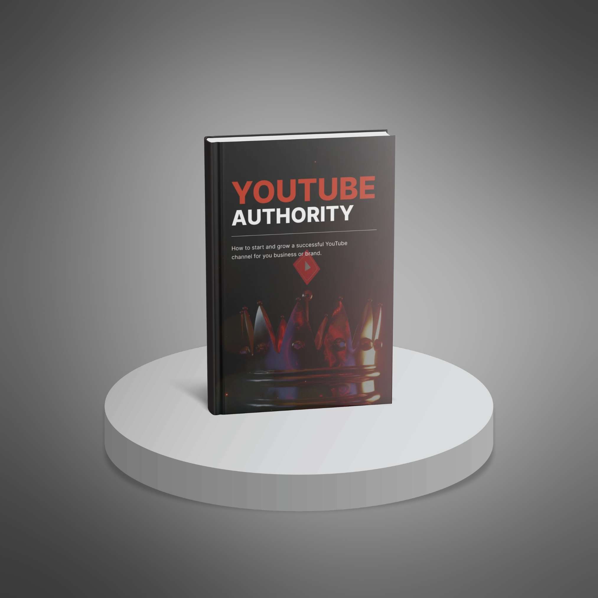 YouTube Authority_2