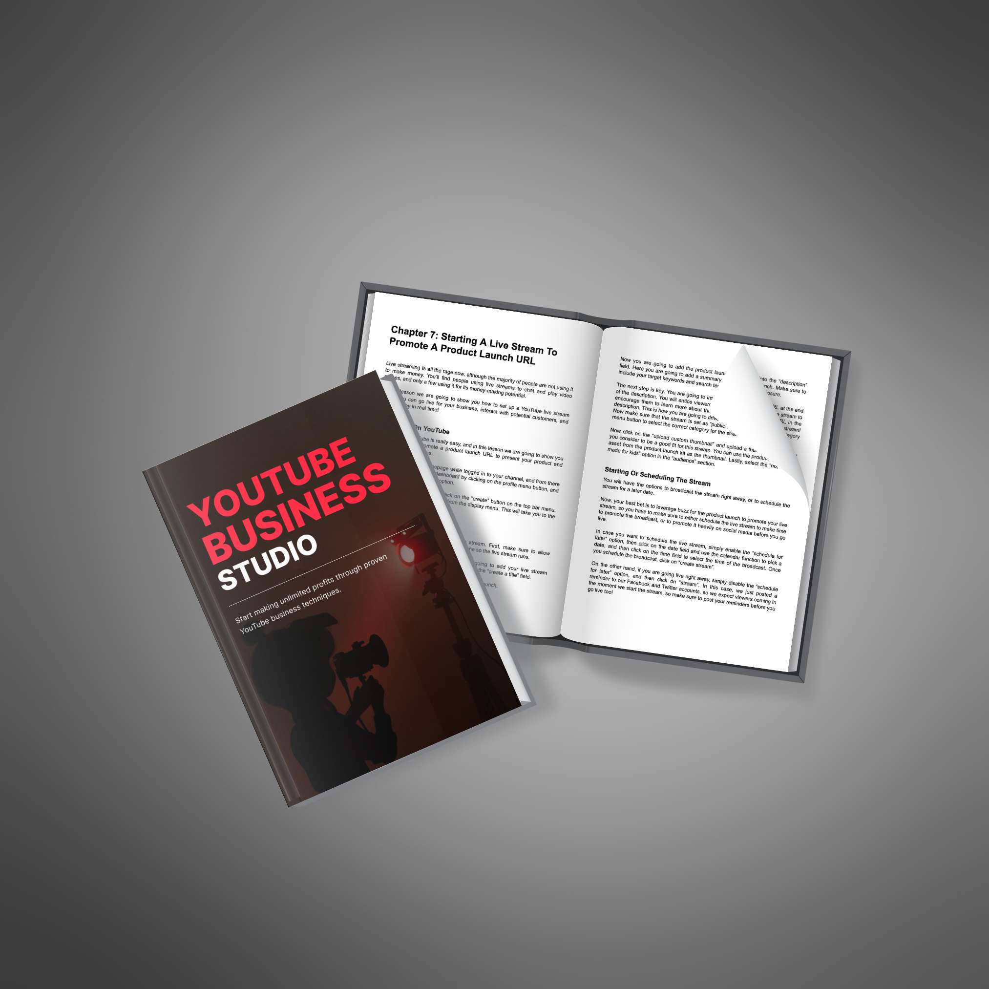 YouTube Business Studio_3