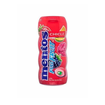 Mentos Gum Bottle- Fruit