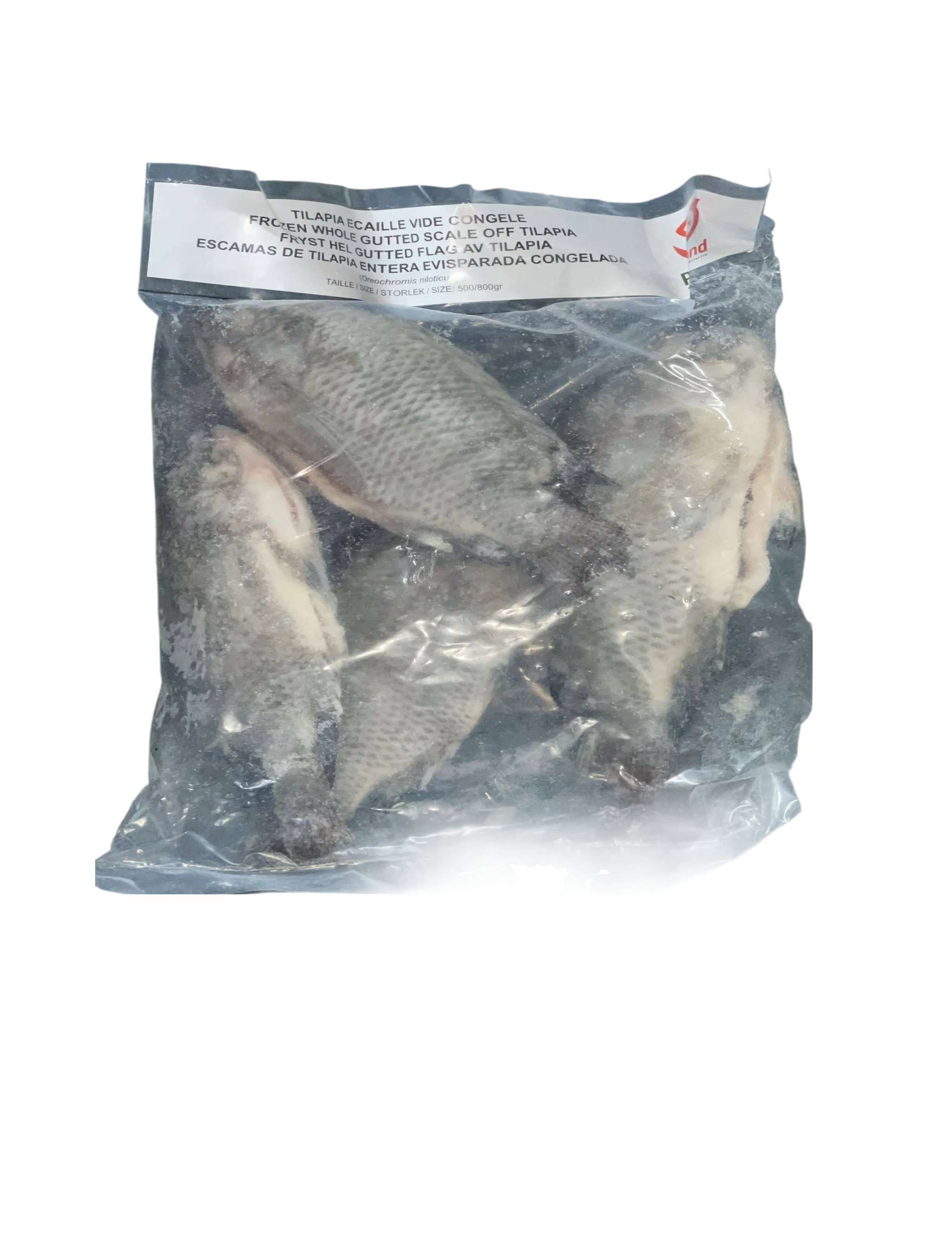 Tilapia Whole CLN Gutted _1