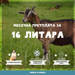 Месечна претплата за домаће козје млеко