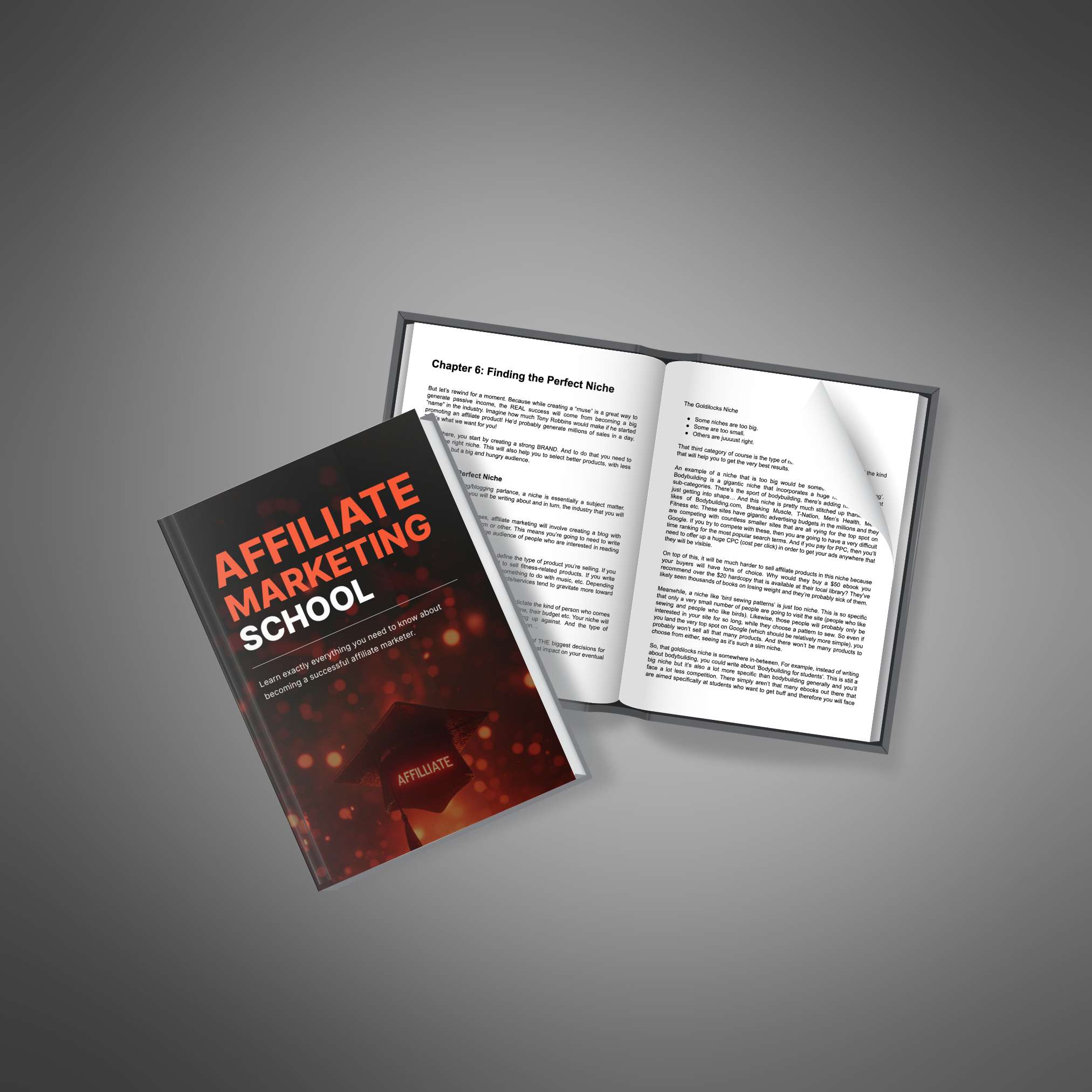 Affiliate Marketing School_3