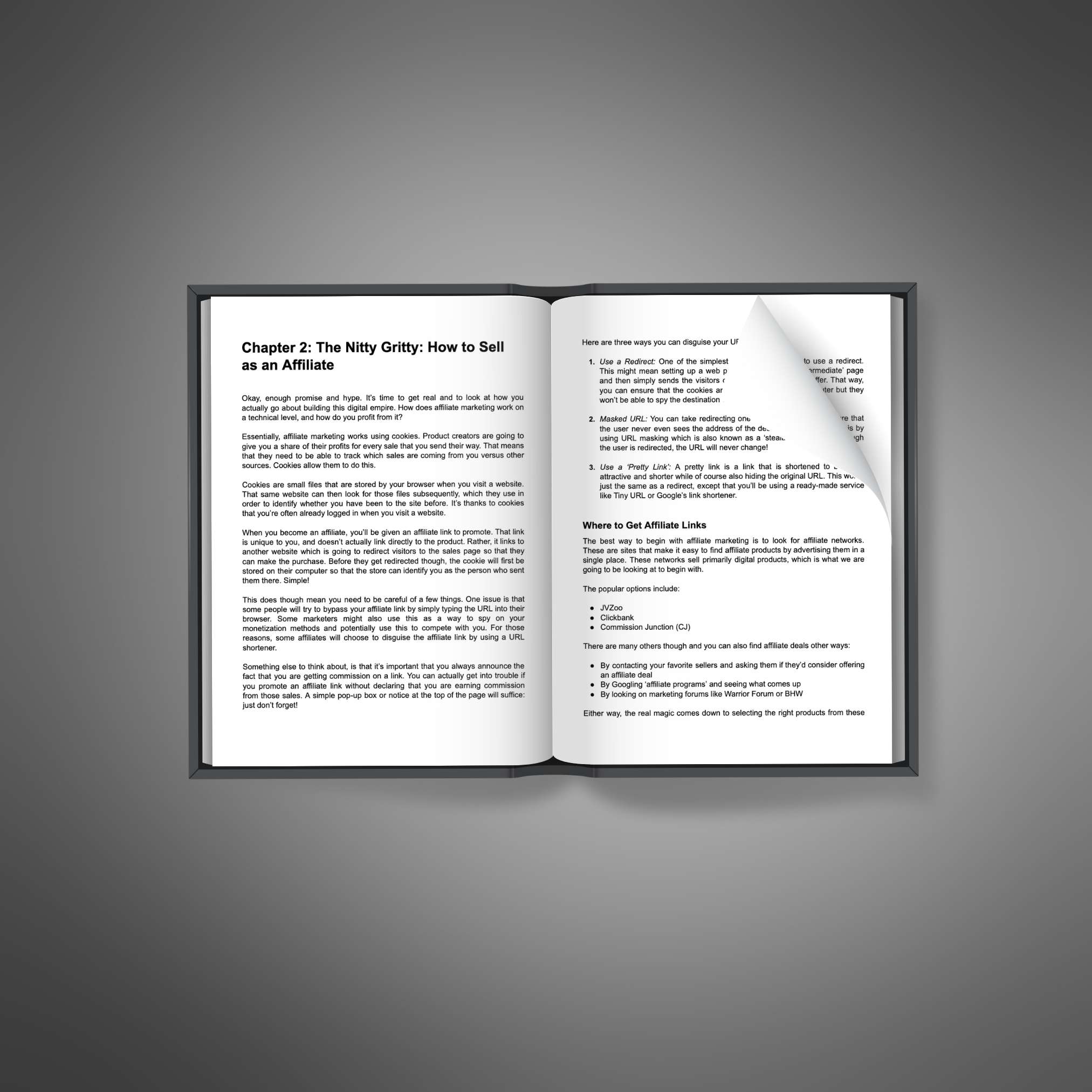 Affiliate Marketing School_1