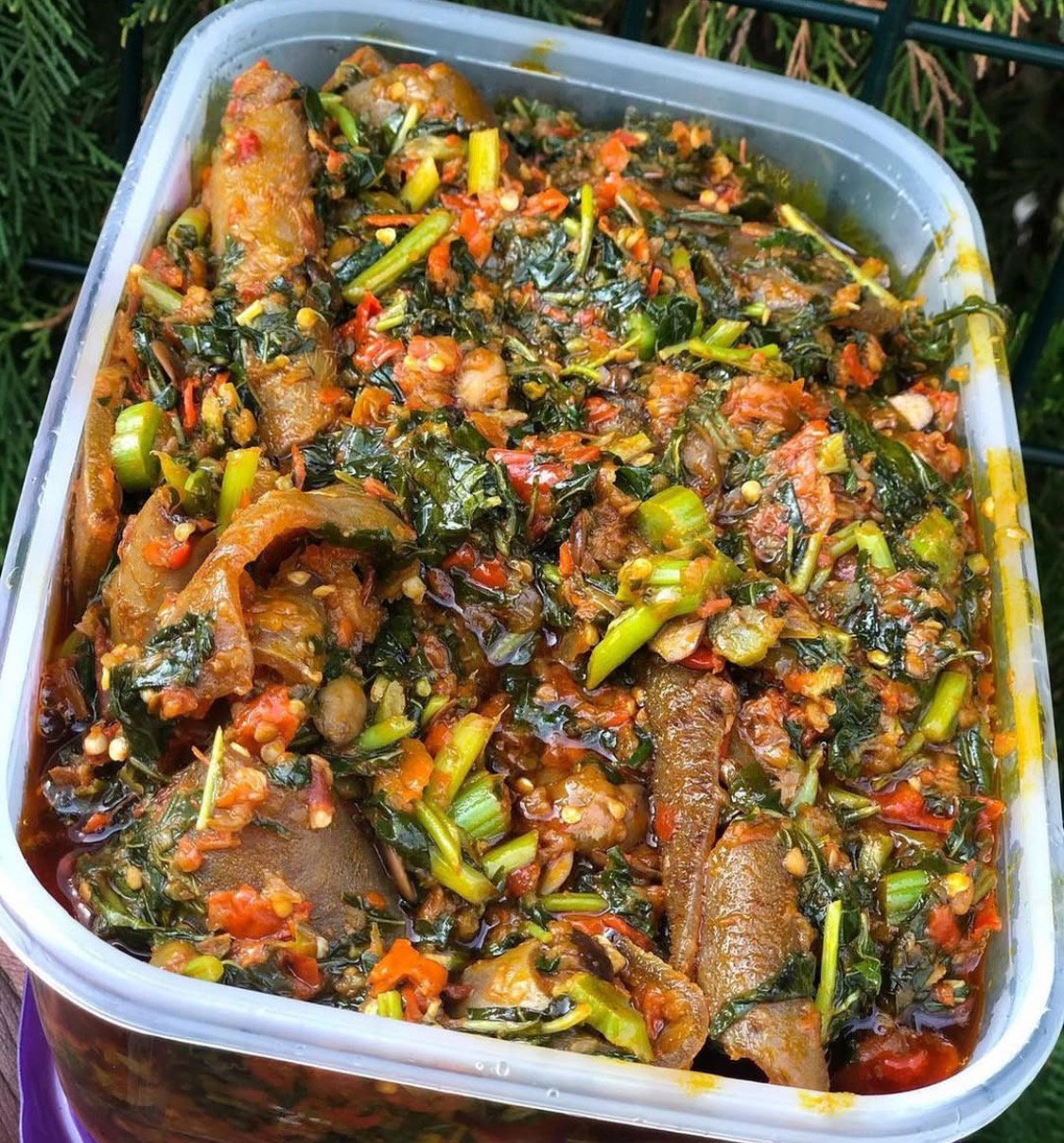 Big plate Efo riro served with choice of protein_0