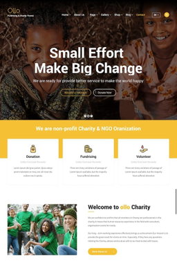 NGO Websites