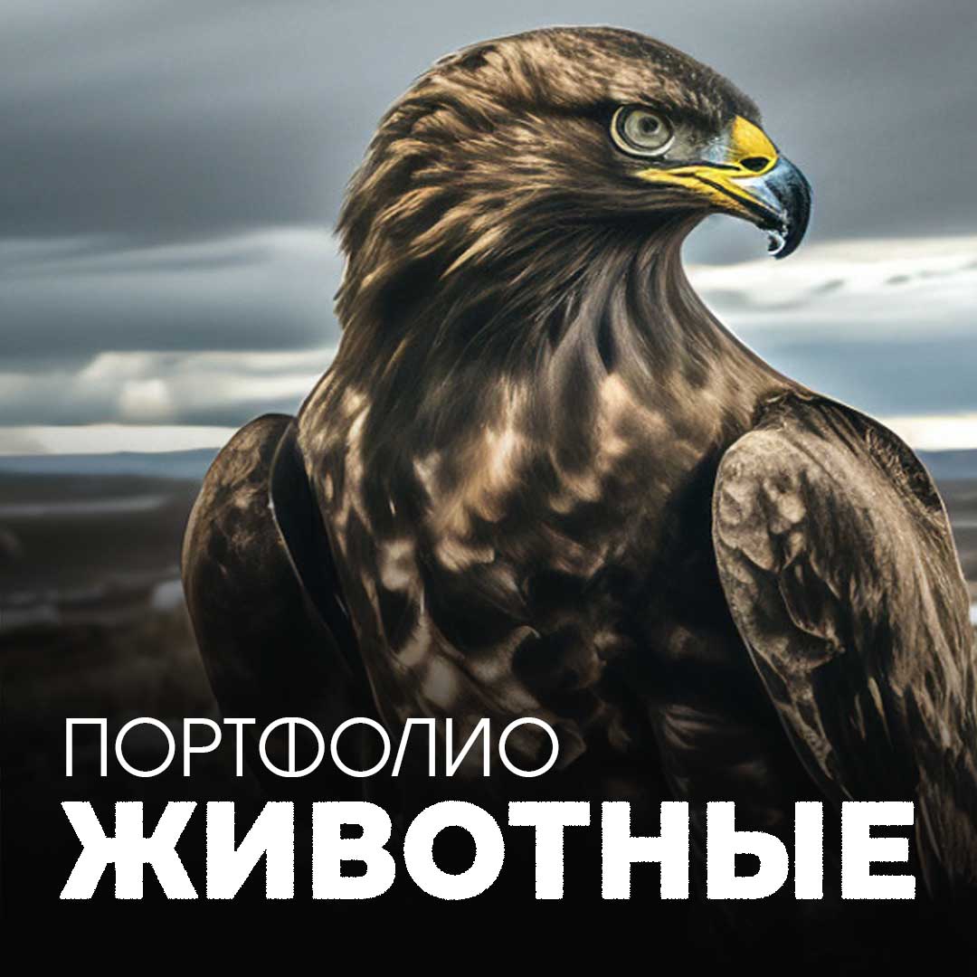 ЖИВОТНЫЕ_0