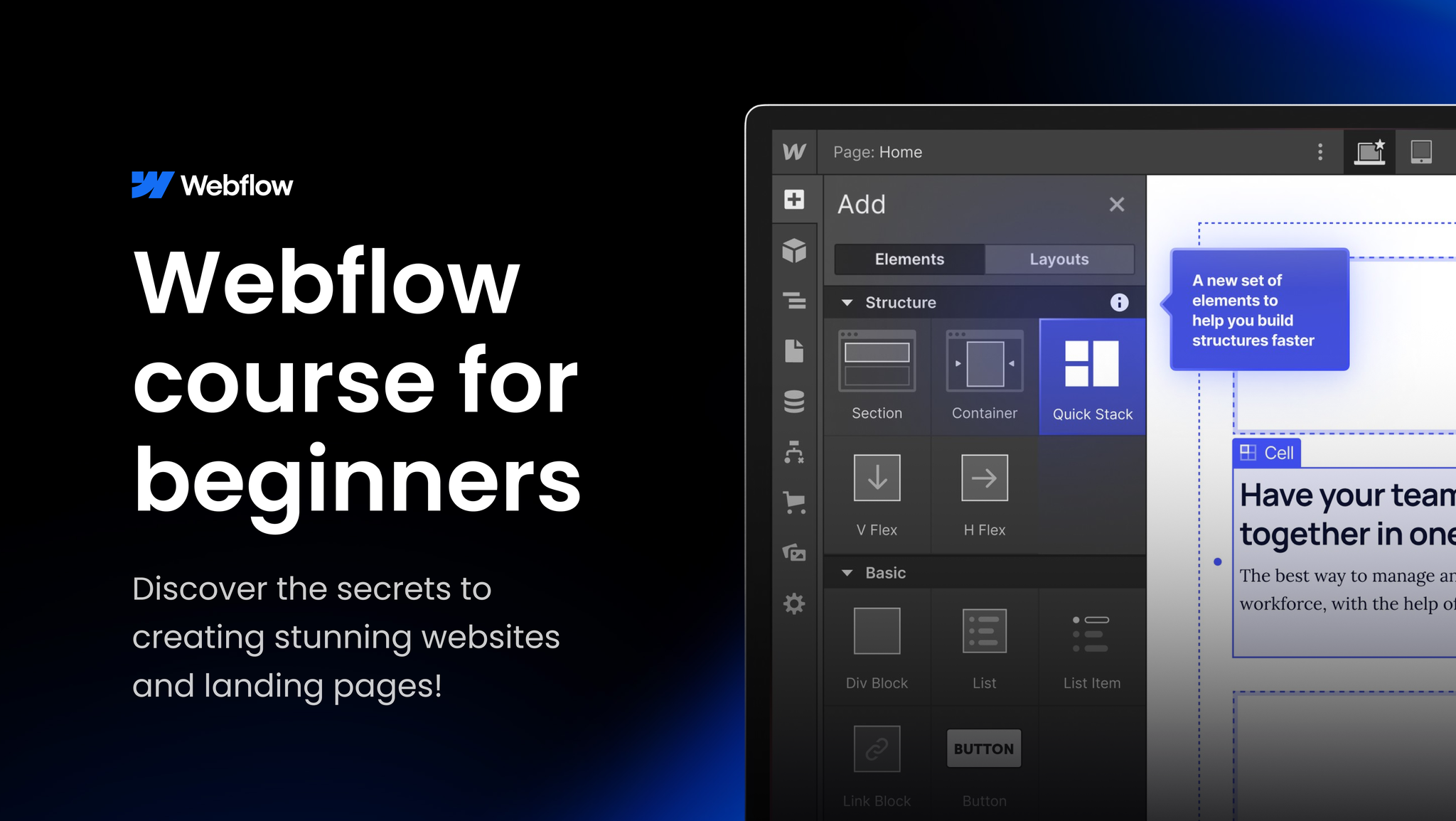 Webflow Course_0