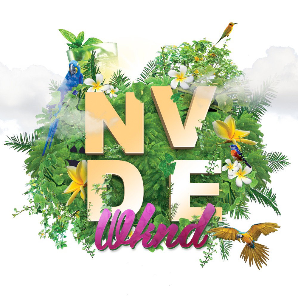 NvDe WNKD_0