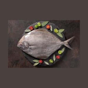 Pomfret - Black