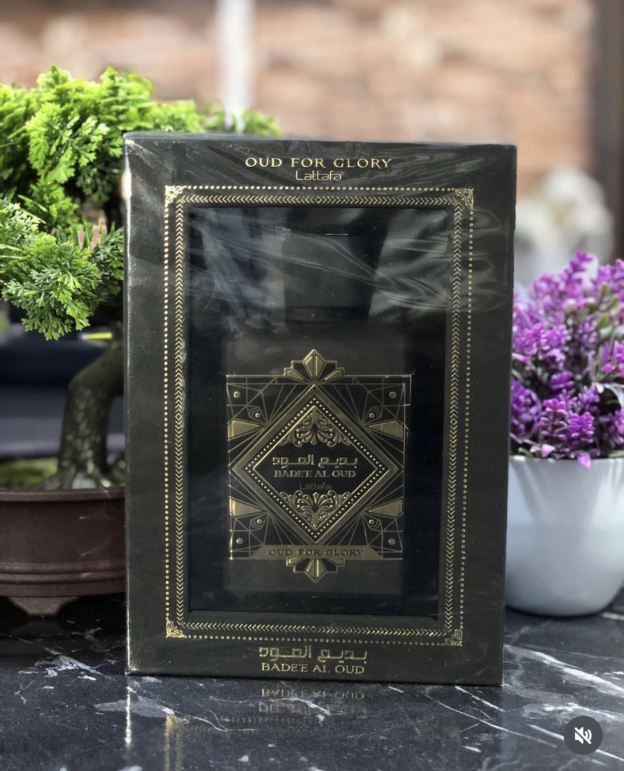 Oud For Glory_0