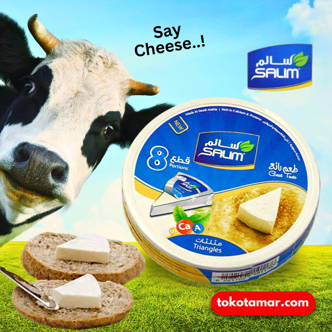 NEW! Salim Triangle Cheese_2