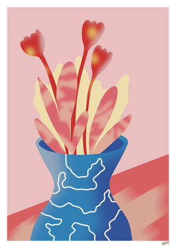 50x70cm