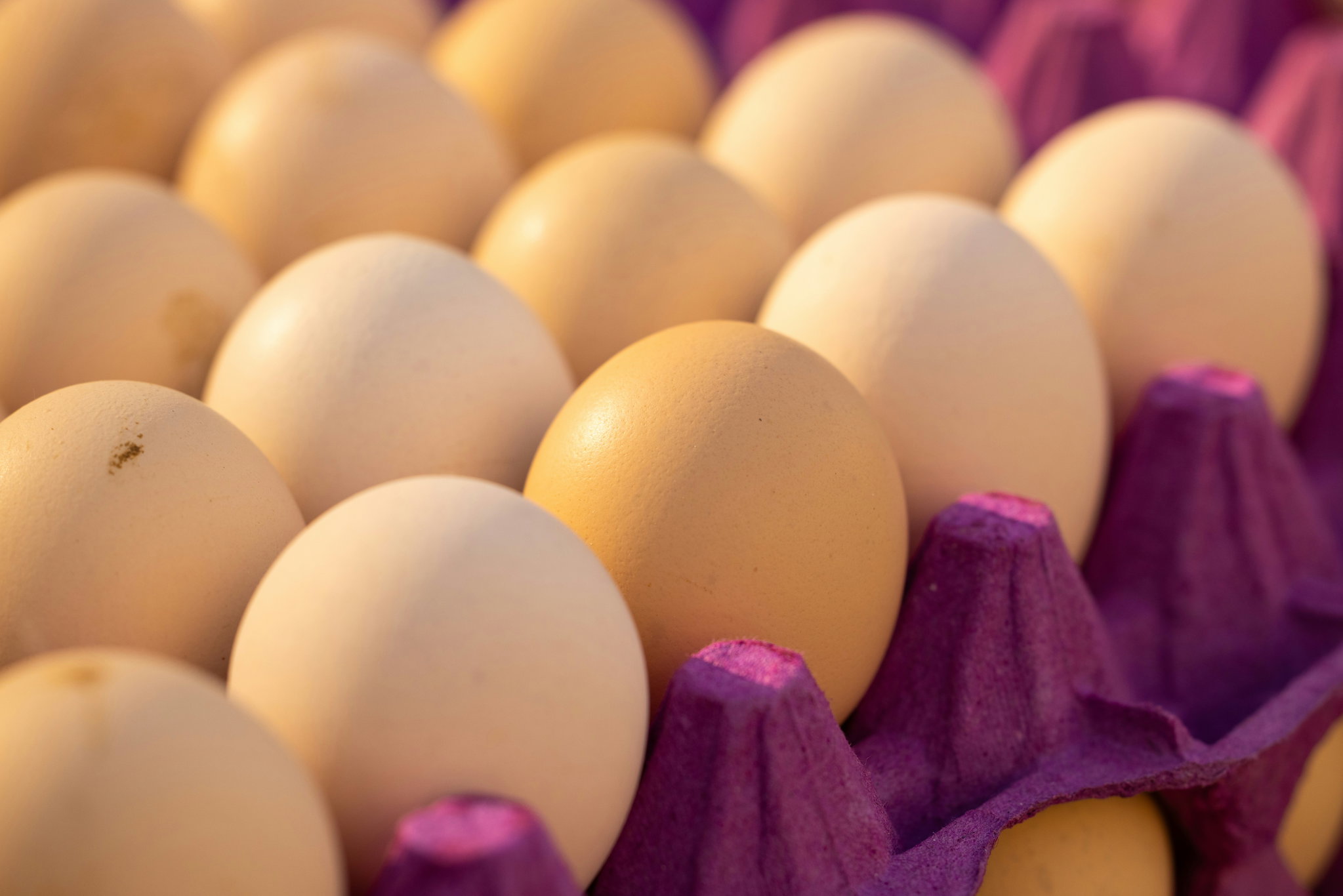 Eggs_0