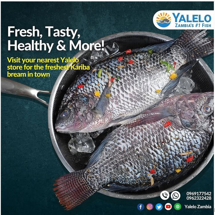 Fresh Fish_0