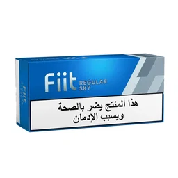 FIIT REGULAR SKY