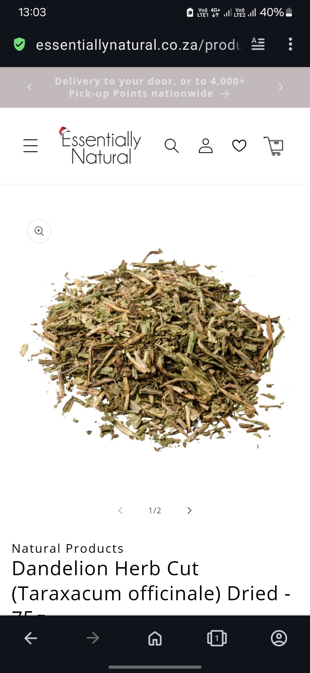 Dandelion Herb Cut (Taraxacum officinale) Dried_0