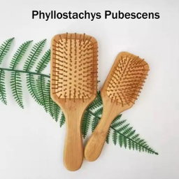 BAMBOO COMB