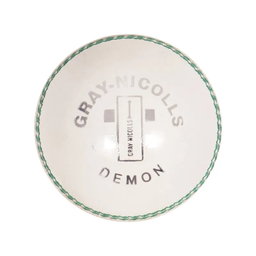 Demon 2 Pc Cricket Ball