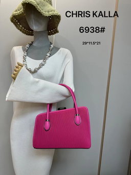 Ladies handbag