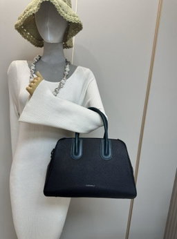 Ladies handbag