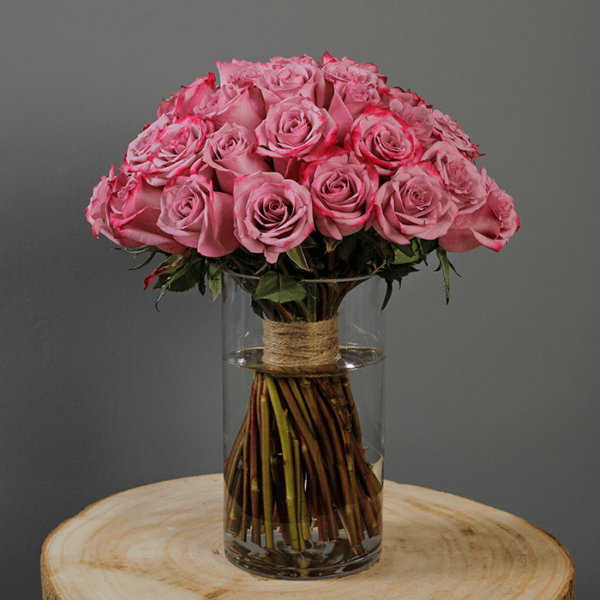 Purple Flowers / زهور أرجوانية