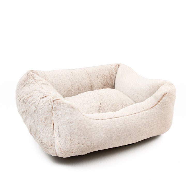 dog bed test 4