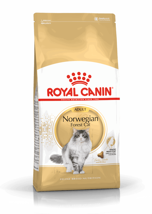 cat food 1