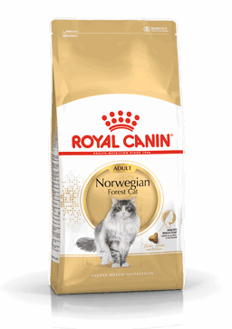 cat food 1