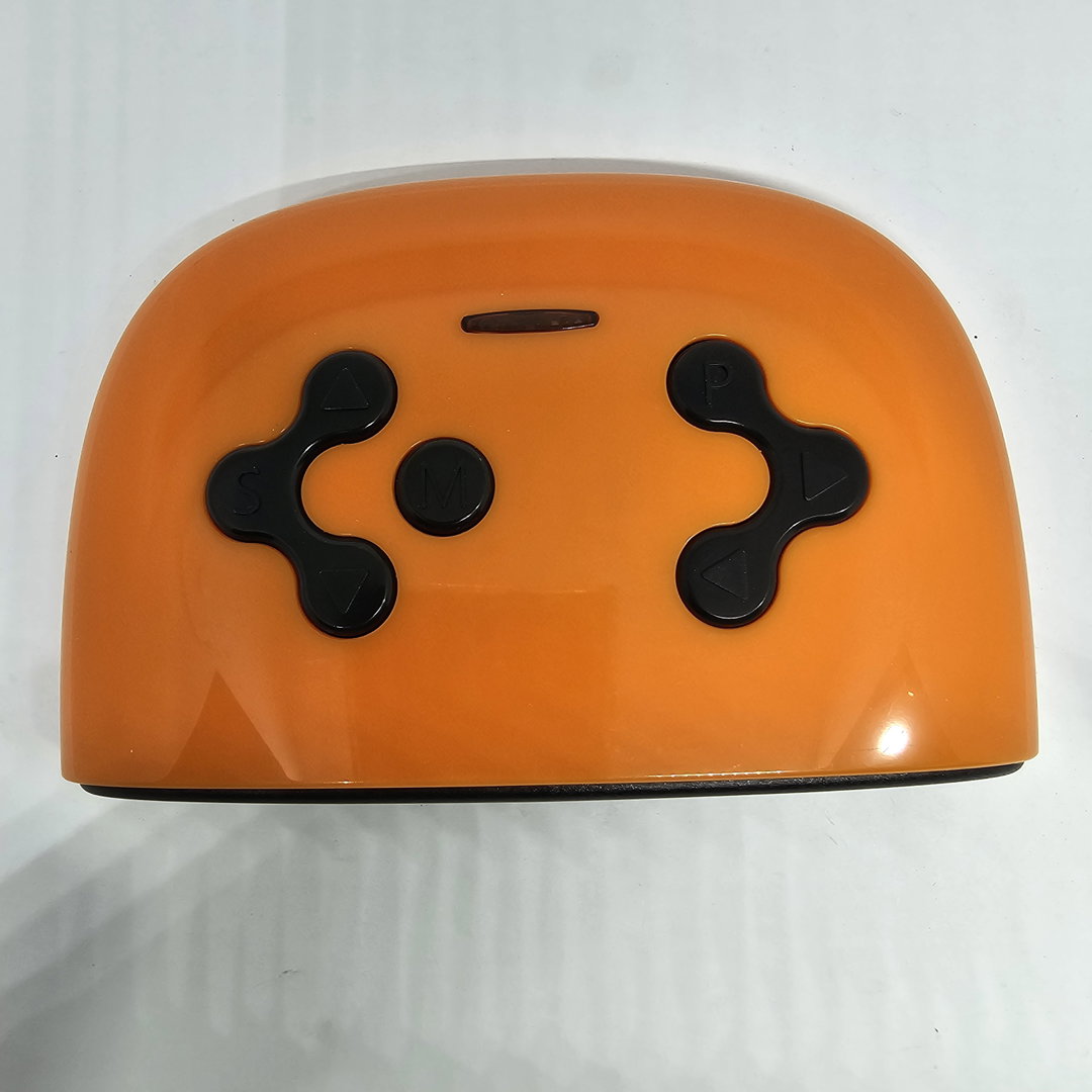Remote controller for car circuit