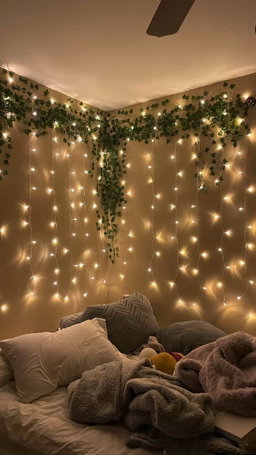 Fairy lights 