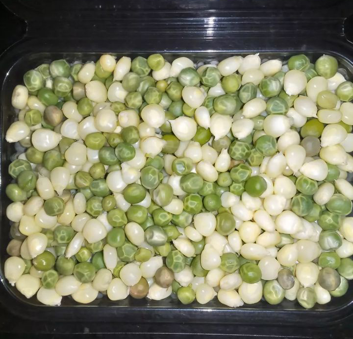 Githeri minji_0
