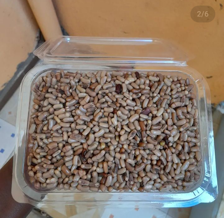Brown ndengu