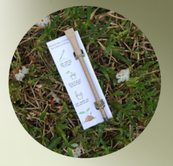 The plantable seed pen (MOQ 500)_0