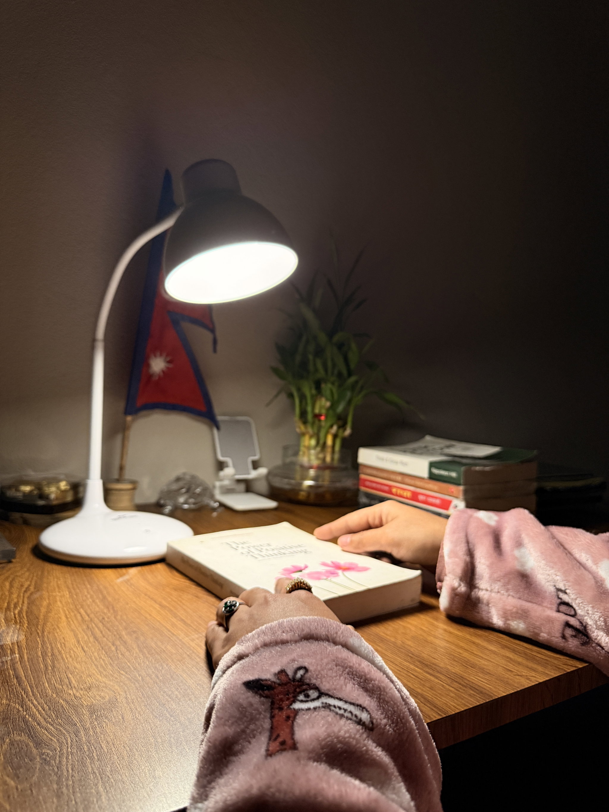 RECHARGEABLE STUDY TABLE LAMP_2