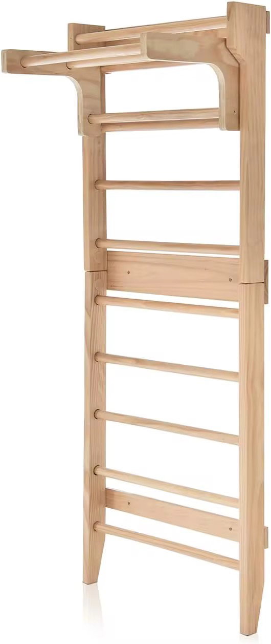 Pull-up Bar Ladder _1