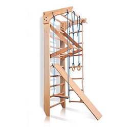 Swedish Ladder with accessories and slide/ramp 