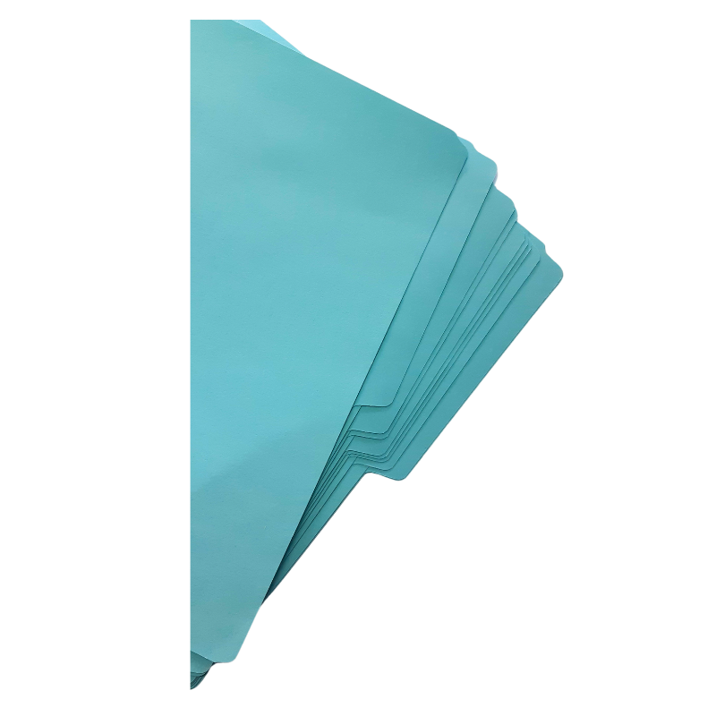 Folder Tamaño Carta