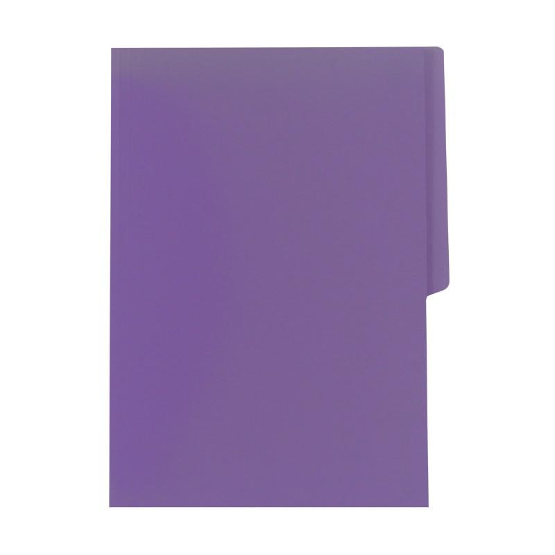 Folder (color fuerte) Tamaño Oficio_1