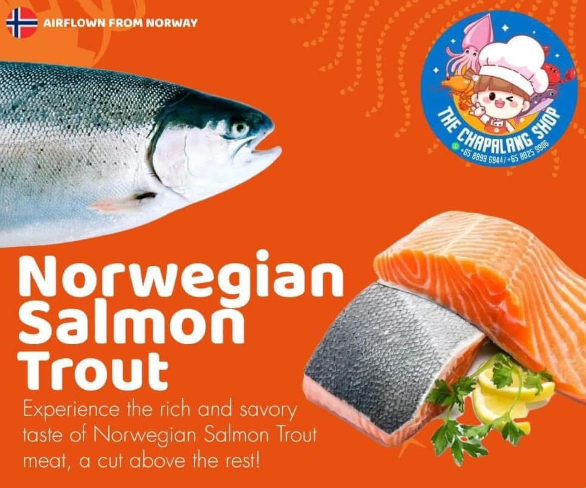 Norwegian Salmon Trout 4kg_0