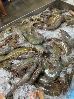 Prawn 25-30 pcs $30.00/kg