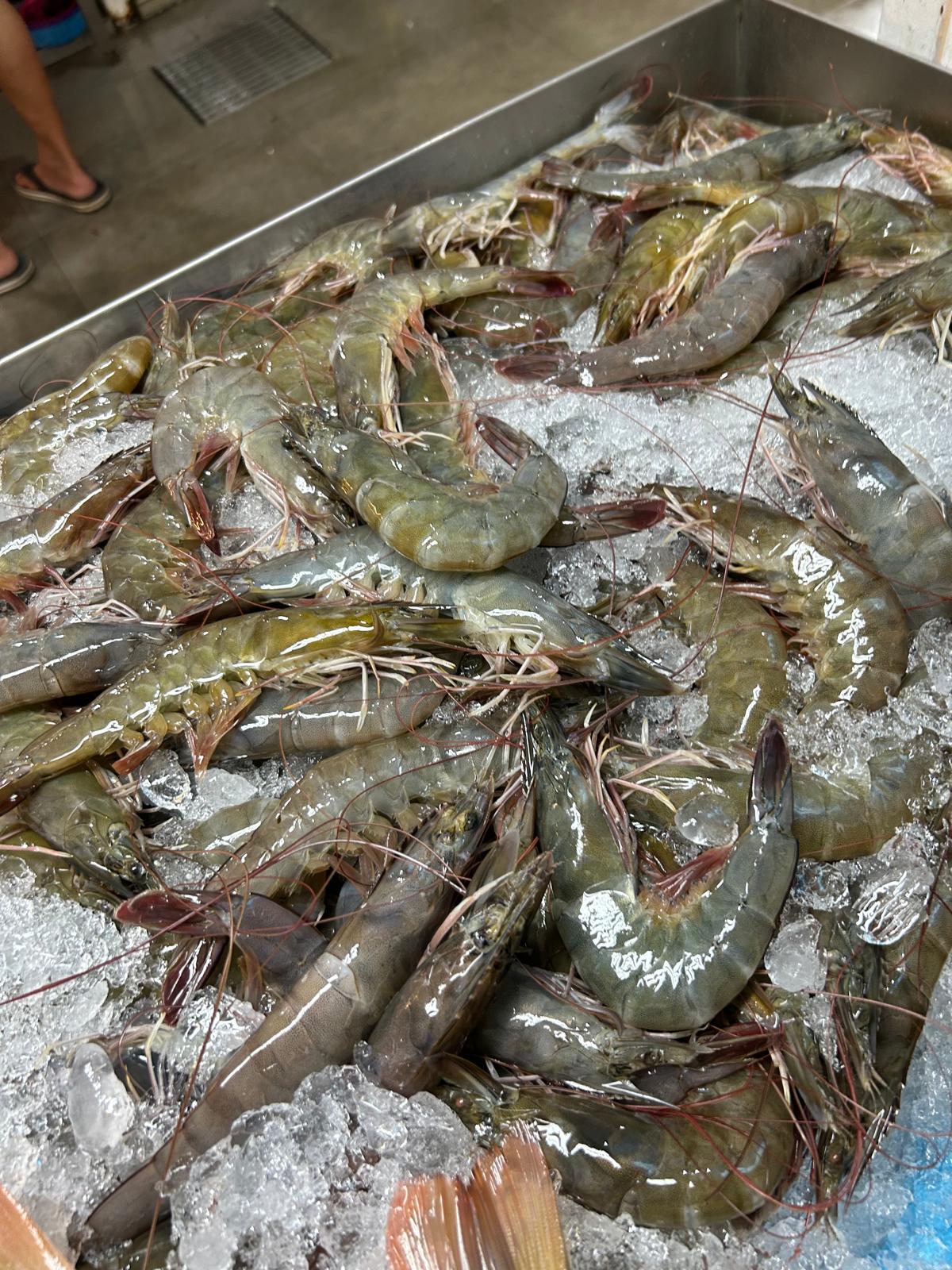 Prawn 20-24 pcs $32.00/kg_1