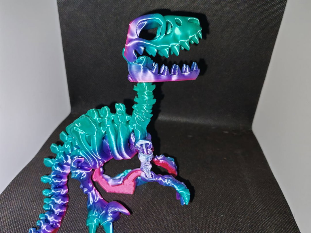 Flexi Raptor 