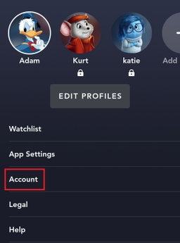 Disney+ 