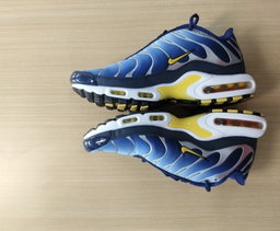 Nike TN requin 